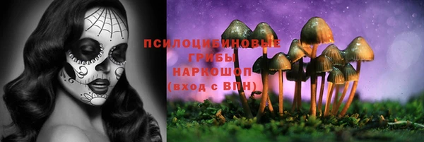 таблы Козловка