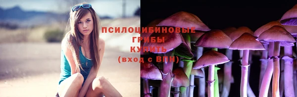 Альфа ПВП Кодинск