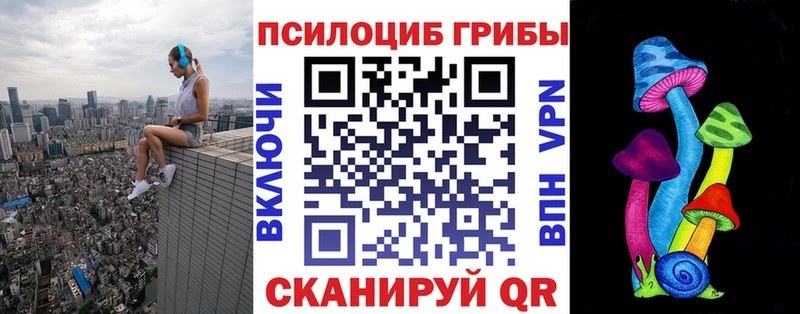Псилоцибиновые грибы Cubensis Джанкой
